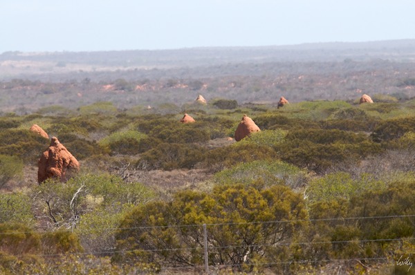 AustraliaPerth 10  110